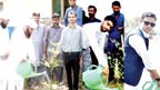 زرعی یونیورسٹی میں دعوت اسلامی انسٹی ٹیوٹ کی شجرکاری 