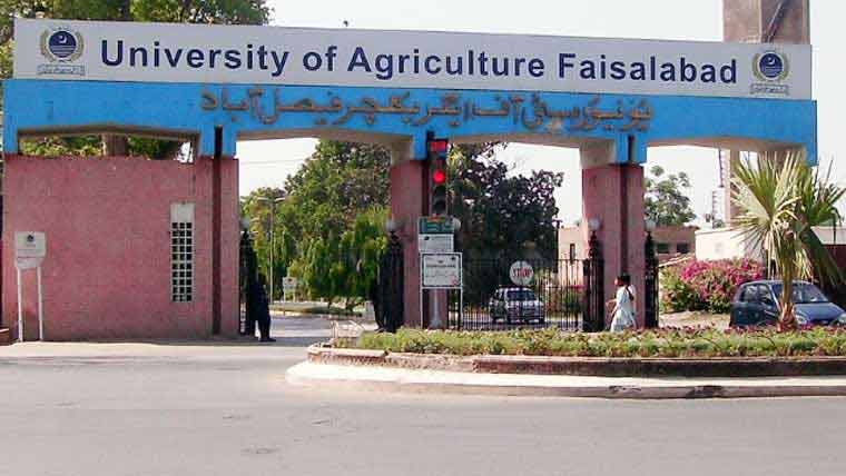 زرعی یونیورسٹی فیصل آباد کا ایلومنائی میٹ 26،27 نومبر کو ہوگا