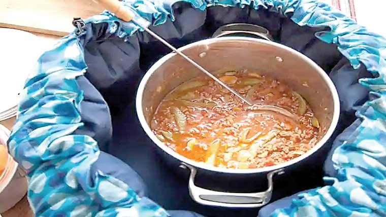 آگ اور بجلی کے بغیر کھانا پکانے والا کوکنگ بیگ تیار 