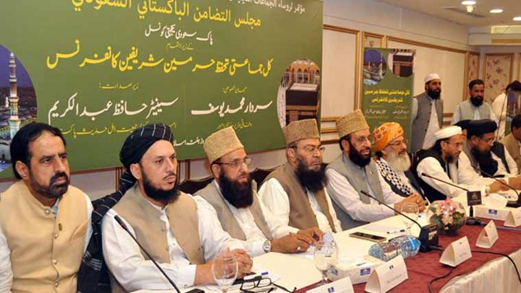 سعودی عرب ریڈ لائن ، پار نہیں کرنے دینگے ، یکجہتی کونسل 