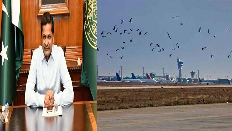  ائرپورٹ کے اطراف پرندے روکنے کیلئے اہم فیصلے