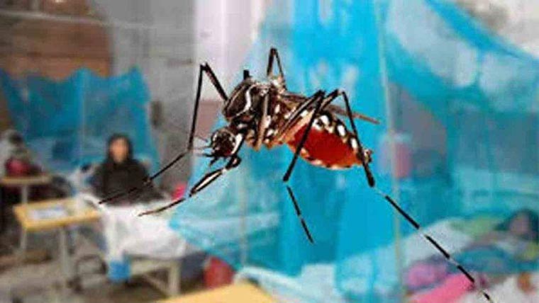  راولپنڈی میں ڈینگی کے مزید تین کیسز، رواں سال تعداد 15 ہوگئی 