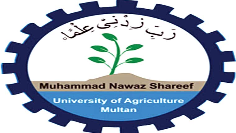 بائیکرز میں ہیلمٹ تقسیم 