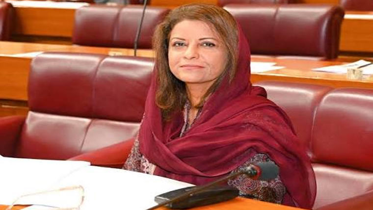  خواتین کمیشنزکے سربراہوں کا بلا تاخیر تقررکیا جائے ،خصوصی کمیٹی 