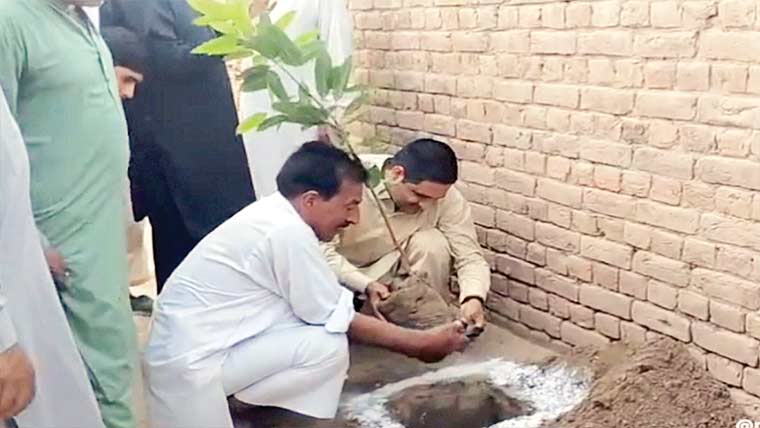 چک 241 ر ب چینچل والا میں شجرکاری مہم کا آغاز