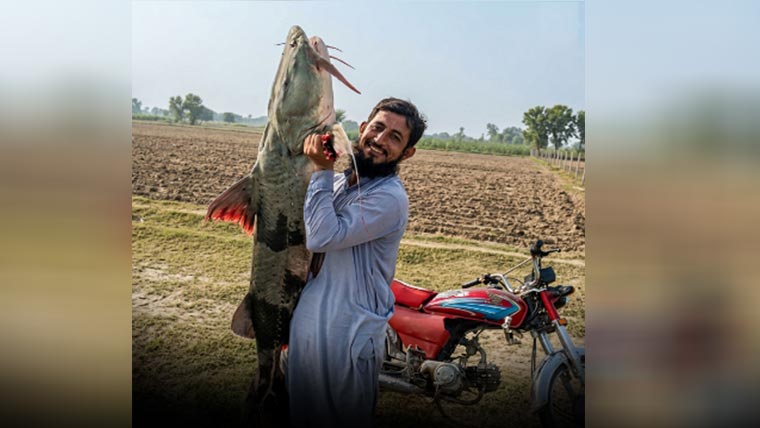 شکاری نے دریائے راوی سے 50 کلو سے زائد وزنی کھگا مچھلی پکڑ لی