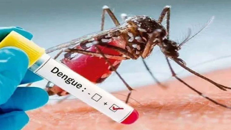  گزشتہ برس 635افراد ڈینگی کا شکار ، رواں سال تعداد 27