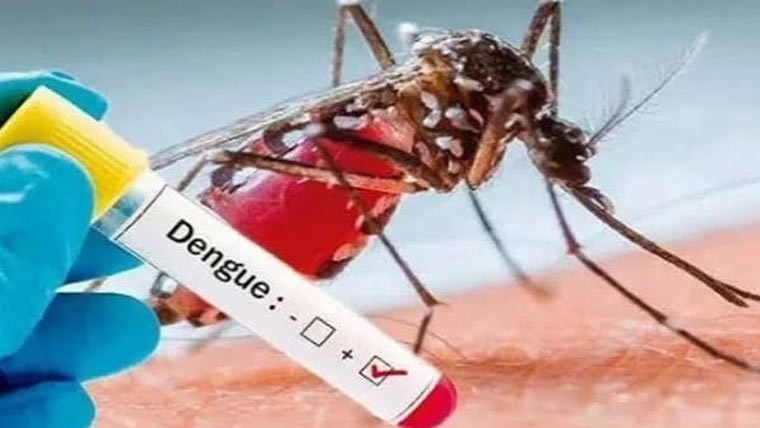  ڈینگی ،ایک ماہ میں  57 کنفرم کیسز رپورٹ