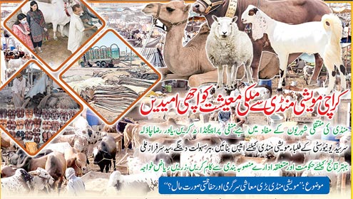  کراچی مویشی منڈی سے ملکی معیشت کو اچھی امیدیں