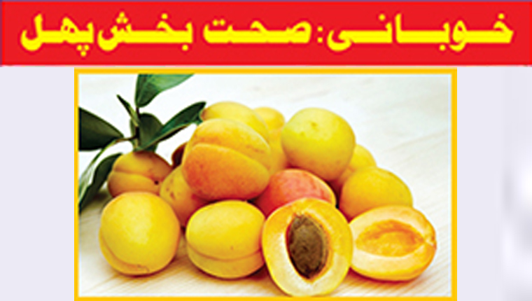 خوبانی: صحت بخش پھل
