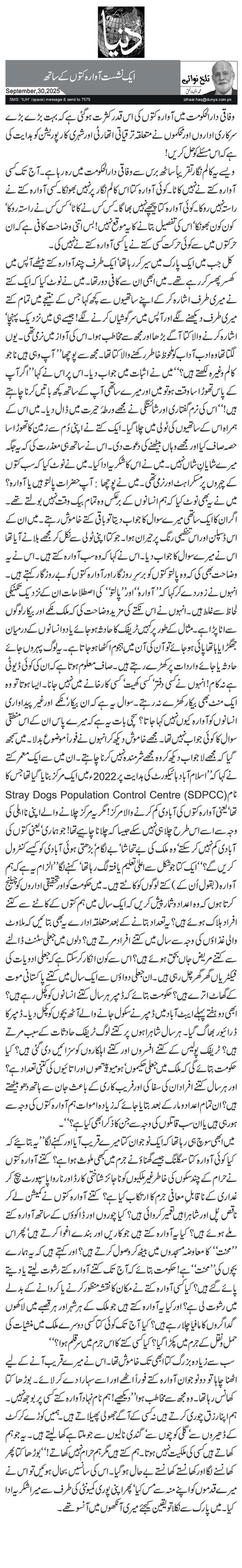 ایک نشست آوارہ کتوں کے ساتھ