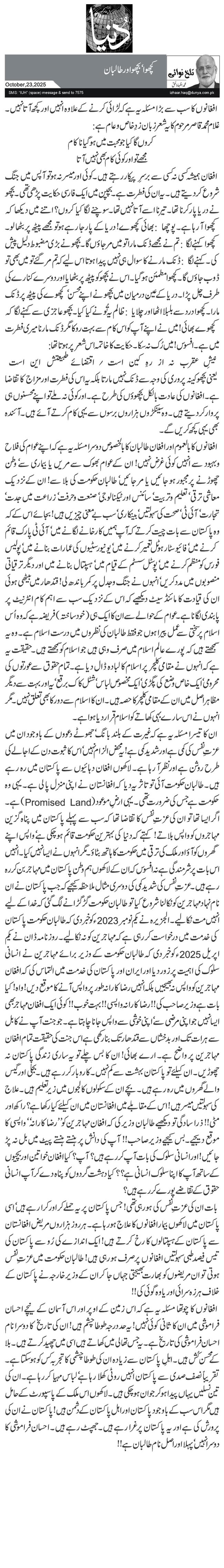 کچھوا‘ بچھو اور طالبان 