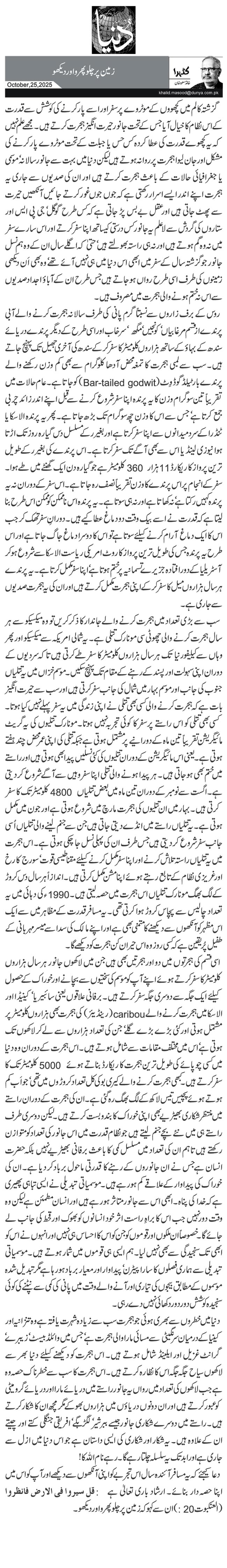 زمین پر چلو پھرو اور دیکھو