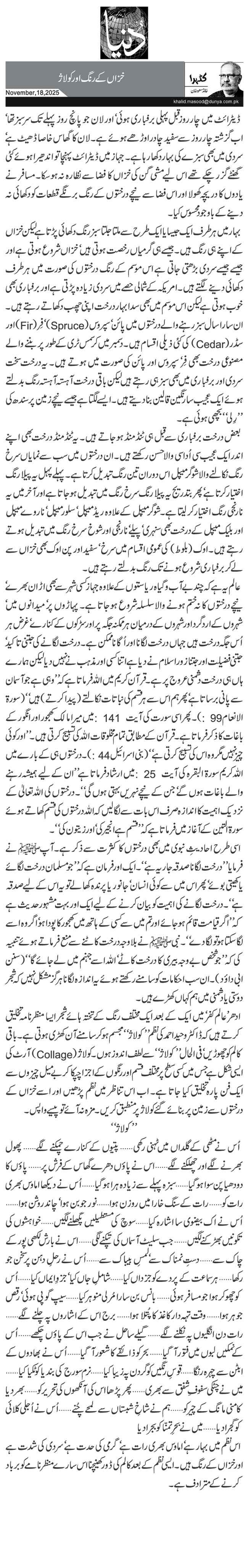 خزاں کے رنگ اور کولاژ