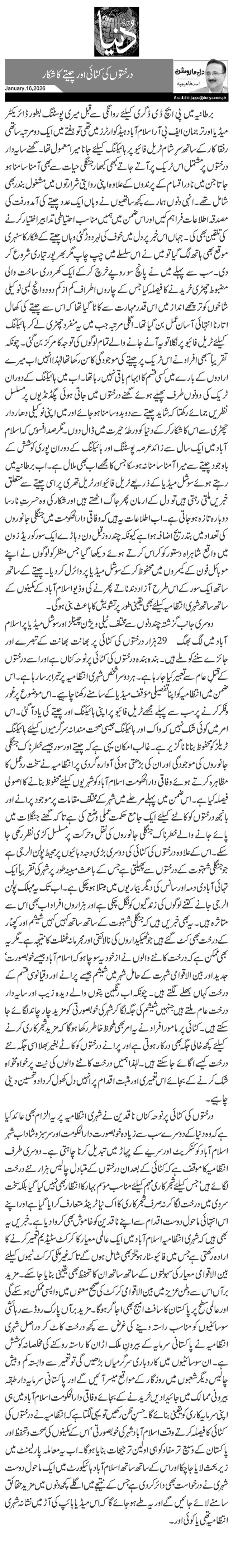 درختوں کی کٹائی اور چیتے کا شکار