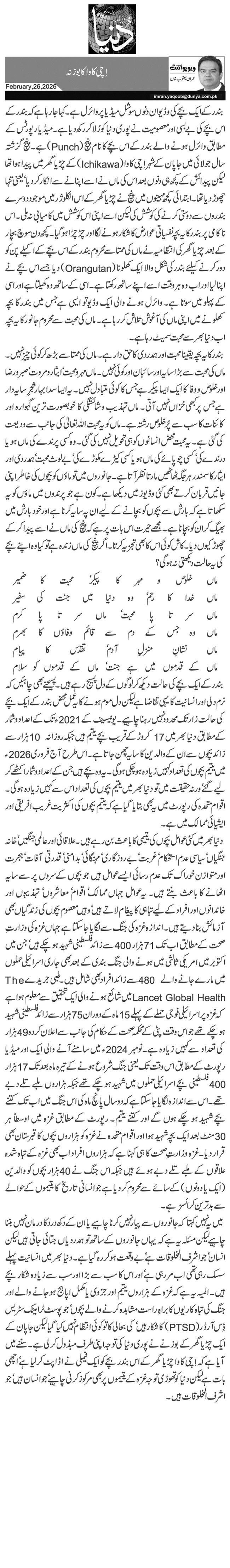 اِچی کاوا کا بوزنہ