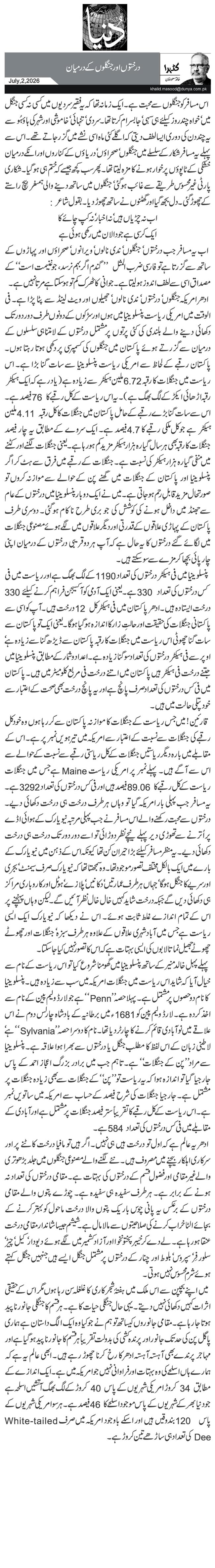 درختوں اور جنگلوں کے درمیان