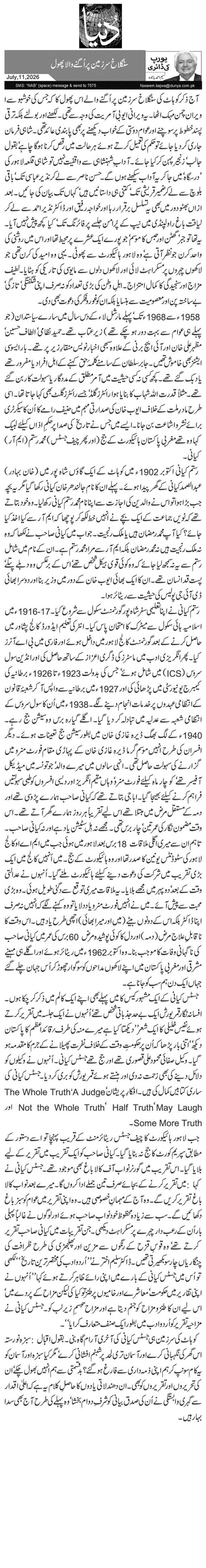  سنگلاخ سرزمین پر اُگنے والا پھول