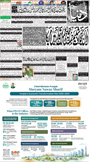 dunya epaper