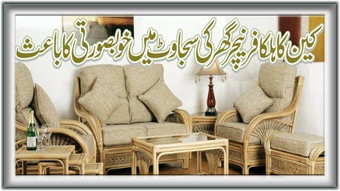 کین کا ہلکا فرنیچر گھر کی سجاوٹ میںخوبصورتی کا باعث 