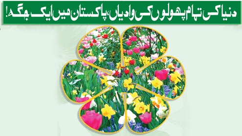 دنیا کی تمام پھولوں کی وادیاں، پاکستان میںایک جگہ!؟