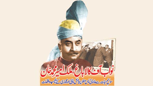 نواب آف کالا باغ،ملک امیر محمد خان