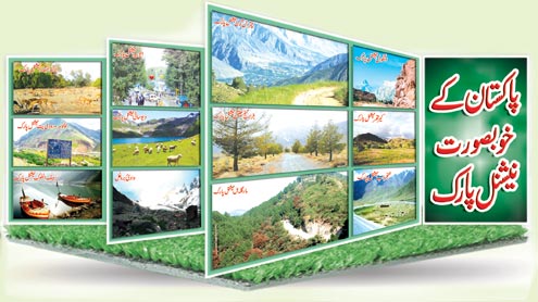 پاکستان کے خوبصورت نیشنل پارک