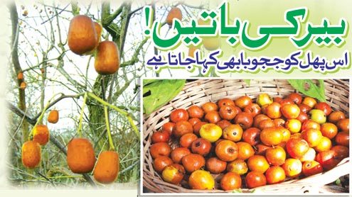 بیر کی باتیں!