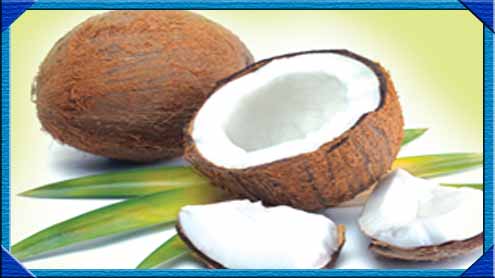 ناریل کے پانچ حیرت انگیز فوائد