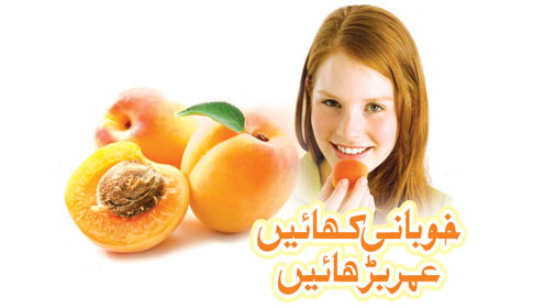 خوبانی کھائیں ، عمر بڑھائیں 