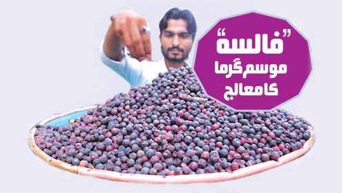 ’’فالسہ‘‘… موسم گرما کا معالج