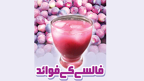 فالسے کے فوائد