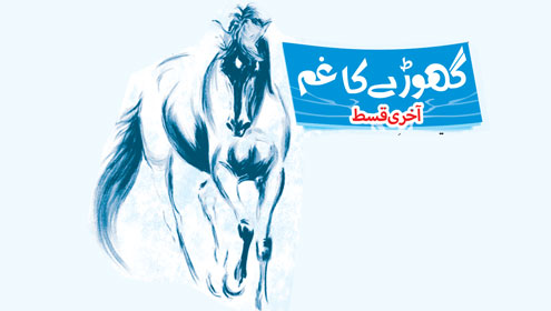 گھوڑے کا غم