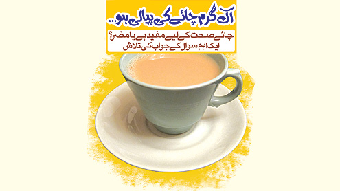 اک گرم چائے کی پیالی ہو… چائے صحت کے لیے مفید ہے یا مضر؟ ایک اہم سوال کے جواب کی تلاش