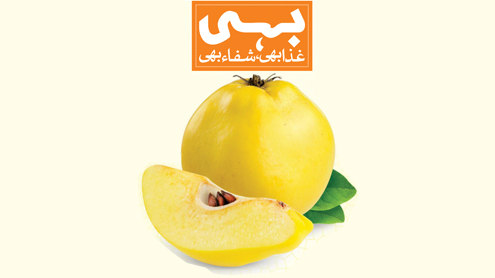 بہی غذا بھی، شفاء بھی