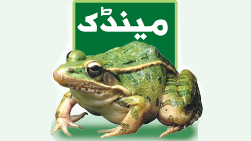مینڈک 