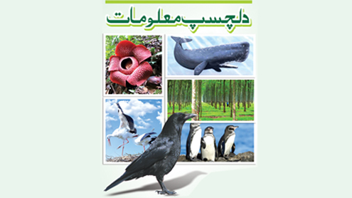 دلچسپ معلومات