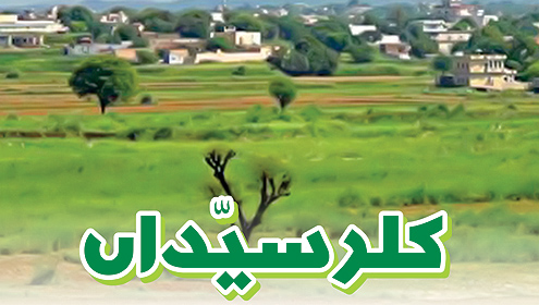کلر سیّداں