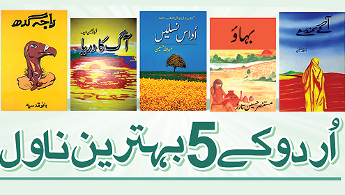 اردو کے پانچ ناول