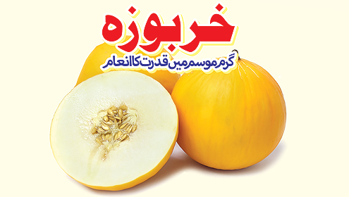 خربوزہ :گرم موسم میں قدرت کا انعام