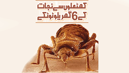 کھٹملوں سے نجات کے 6 گھریلو ٹوٹکے