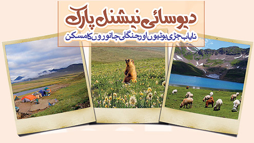 دیو سائی نیشنل پارک  نایاب جڑی بوٹیوں اور جنگلی جانوروں کا مسکن