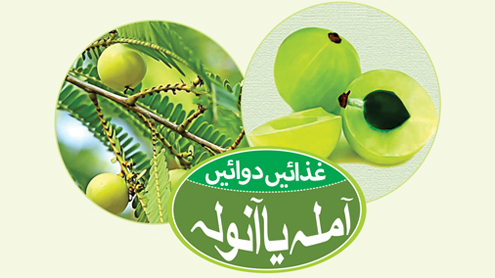 غذائیں دوائیں آملہ یا آنولہ