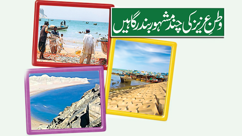 وطن ِ عزیز کی چند مشہور بندرگاہیں