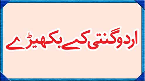 اردو گنتی کے بکھیڑے 