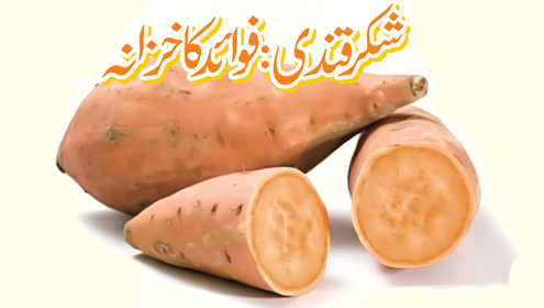 شکرقندی : فوائد کا خزانہ 