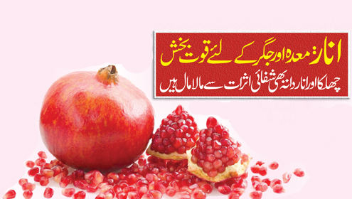 انار : معدہ اور جگر کے لئے قوت بخش   چھلکا اور انار دانہ بھی شفائی اثرات سے مالا مال ہیں