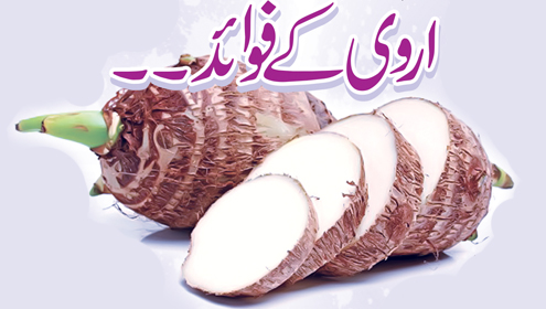 اروی کے فوائد۔۔