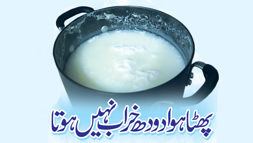 پھٹا ہوا دودھ خراب نہیں ہوتا