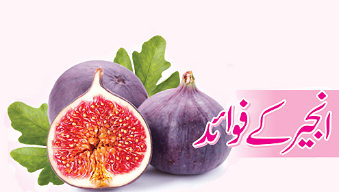 انجیر کے فوائد